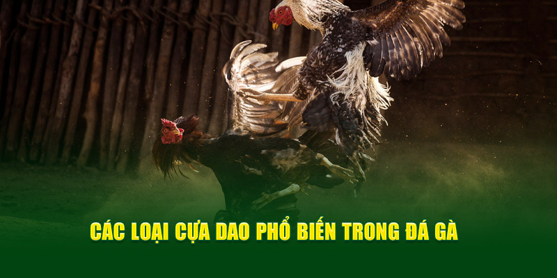 Các loại cựa dao phổ biến